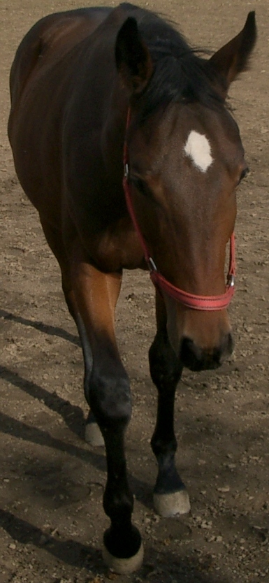 IMGP3873.JPG